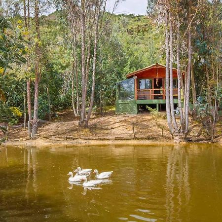 Cabana Tipo Glamping Savieza Life Experience Nemocon المظهر الخارجي الصورة