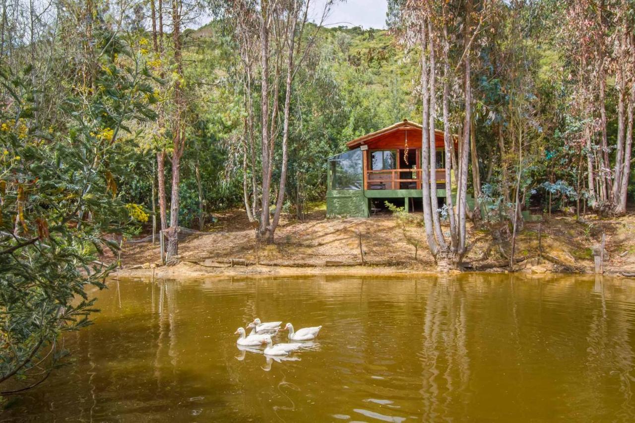 Cabana Tipo Glamping Savieza Life Experience Nemocon المظهر الخارجي الصورة
